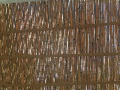 茅屋屋顶,纹理效果,彩色背景,东正教,背景,户外,纹理,绘画插图,犹太结茅节,自然