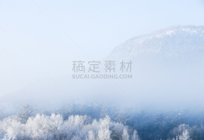 日本,北海道,冬天,山,雾凇,吉野,阿肯国家公园,雾淞,自然,寒冷