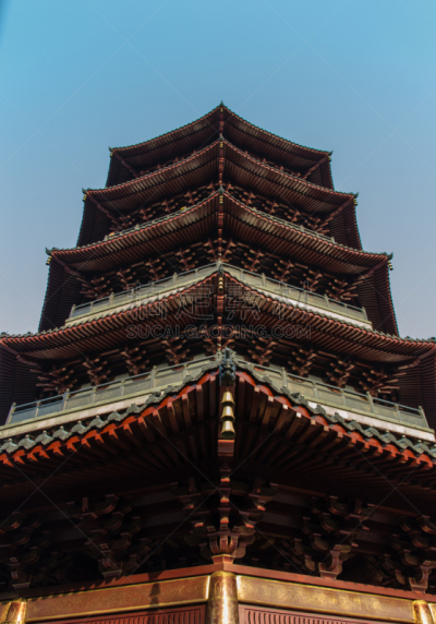 雷峰宝塔,垂直画幅,水,枝繁叶茂,山,无人,当地著名景点,东亚,户外,湖