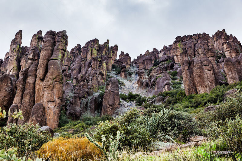 沙漠,亚利桑那,美国,地形,tonto national forest,萨挂诺仙人掌,凤凰,菲尼克斯市,干旱,视角