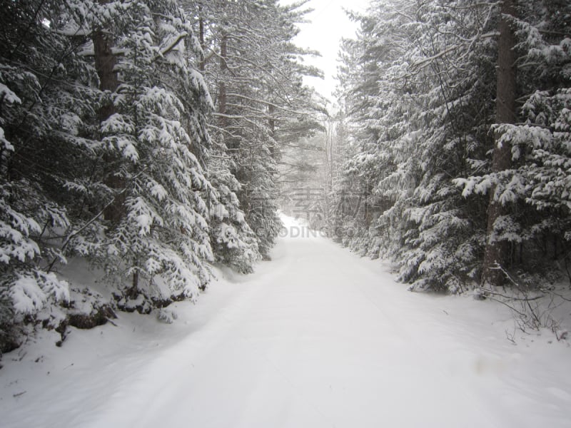 冬天,雪,路,阿迪朗达克州立公园,松树,水平画幅,无人,松科,2015年,纽约州