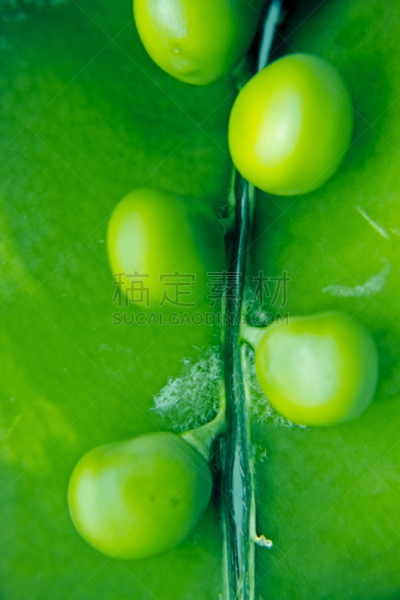 甜碗豆,一模一样,mange-tout,豌豆荚,垂直画幅,豌豆,绿色,无人,生食,豆科植物