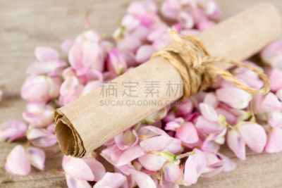 羽扇豆,背景,名册,木制,公亩,美,水平画幅,夏天,开花时间间隔,俄罗斯