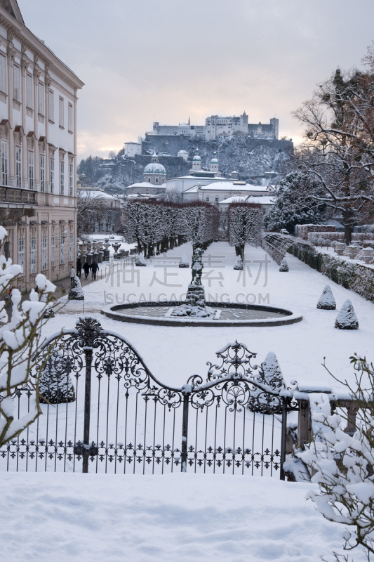 雪,冬天,萨尔茨堡,垂直画幅,圣诞树,旅行者,都市风景,圣诞装饰物