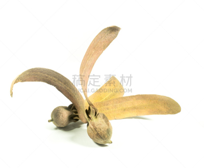 水果,两只动物,白色背景,分离着色,翅膀,尤脑香科树,自然,褐色,直升机,水平画幅