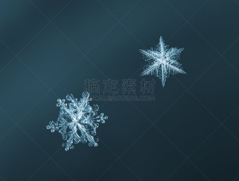 雪花,浅蓝色,大规模的放大,两个物体,冰晶,水平画幅,雪,无人,特写,白色