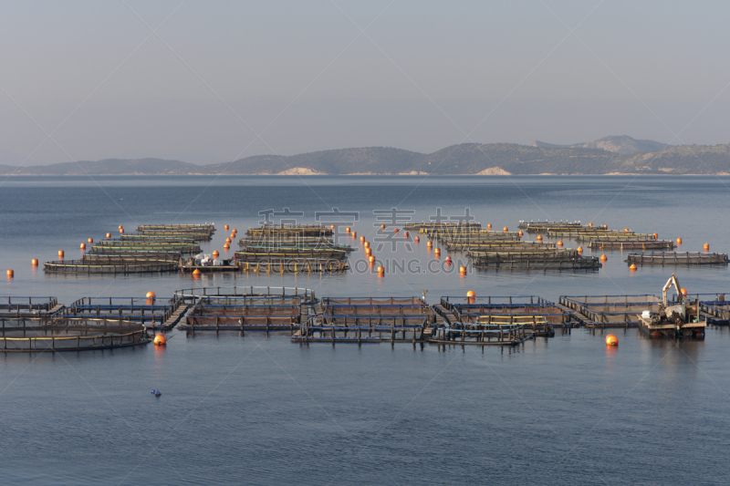 希腊,养鱼场,地形,水,天空,水平画幅,海港,海产,麦森尼亚,2011