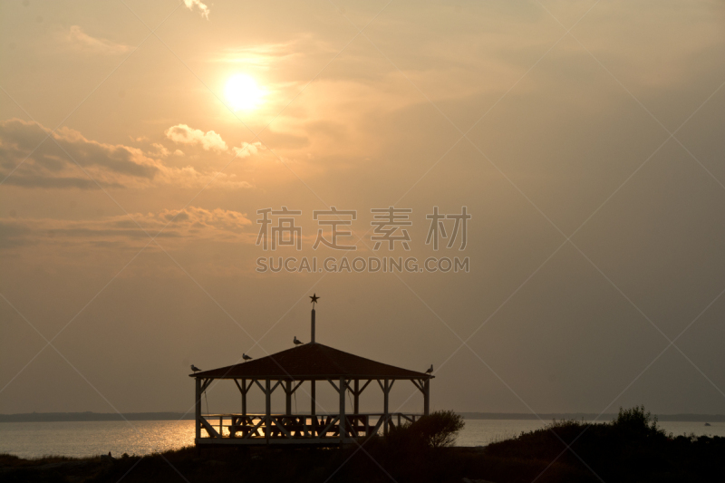 凉棚,在上面,水,宁静,野生动物,水平画幅,无人,鸟类,野外动物