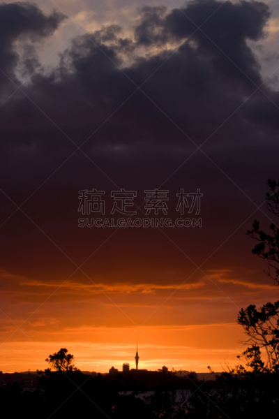 奥克兰,城市,rangitoto channel,天空塔,桃金娘科常绿树,hauraki gulf islands,垂直画幅,天空,留白,无人