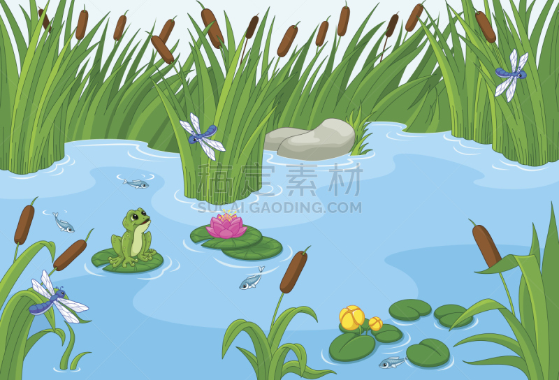 池塘,青蛙,睡莲,蜻蜓,自然,水,水平画幅,地形,无人,绘画插图