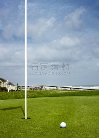 高尔夫球,绿色,阿米丽亚岛,乡村俱乐部,垂直画幅,水,天空,留白,度假胜地,洞