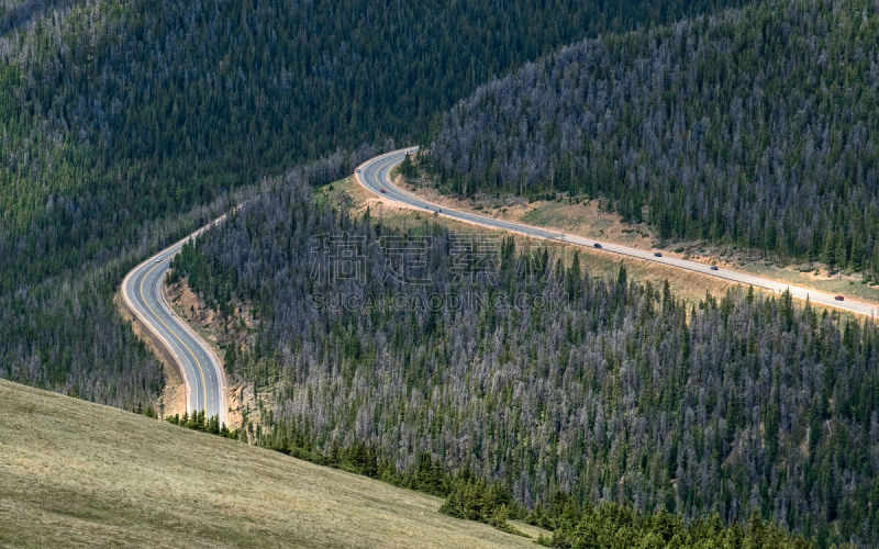 berthoud pass,科罗拉多州,松树,美国,水平画幅,山,无人,松科,路,户外