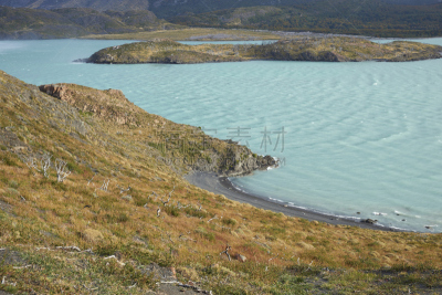 诺登基厄德湖,麦哲伦－智利南极区,百内犄角双峰,潘帕斯大草原,巴塔哥尼亚,水,风,水平画幅,山,无人