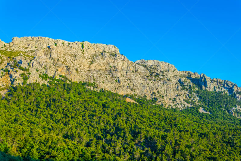 马略卡,西班牙,齿状山脊,sierra de tramuntana,面向陆地,自然界的状态,野生动物,海岸线,小路,地中海