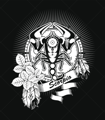 蝎子,标志,巴比伦,算命先生,螫针,天蝎座,空间探索,月,蜘蛛纲,背景