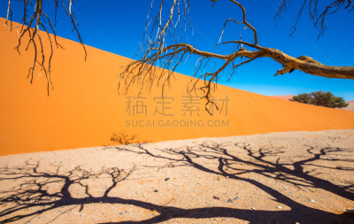 毛洋槐,苏丝斯黎,纳米比亚,沙丘,红色,纳米布沙海,瑟斯瑞姆,死亡谷,金合欢树,天空