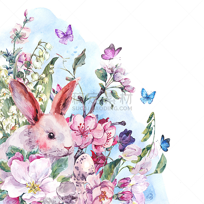 小兔子,春天,水彩画,白色,贺卡,复活节,柳树,蝴蝶,无人