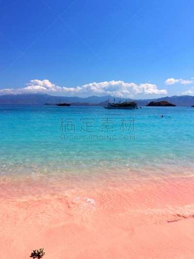 印度尼西亚,透明,粉色,水,蓝色,海滩,库莫度,自然美,弗洛雷斯