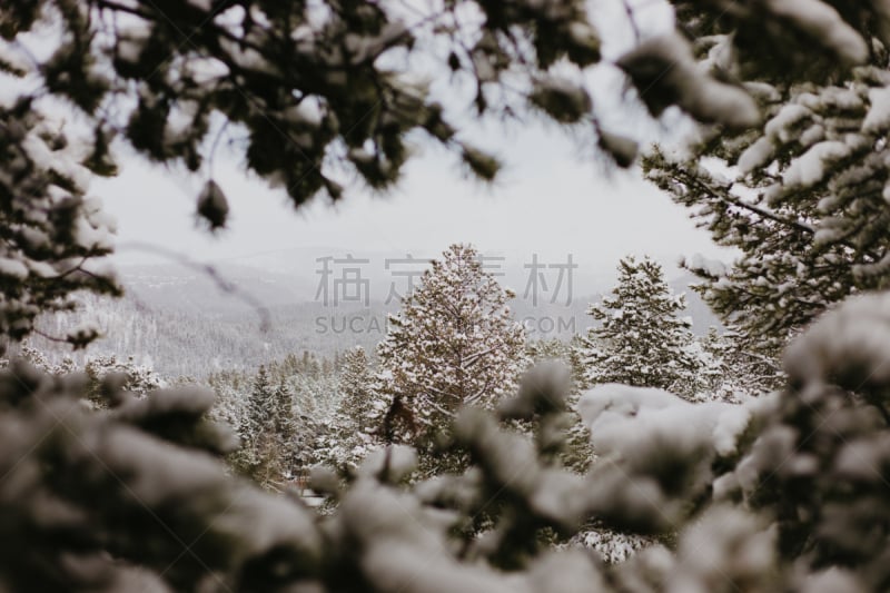 雪,户外,山脉,科罗拉多州,自然,季节,冬天,冻结的,宁静,布瑞金利吉