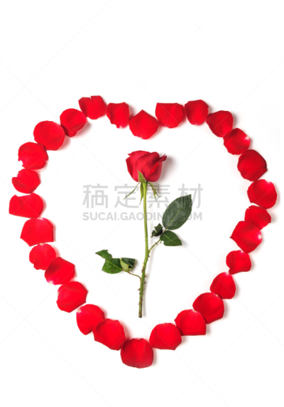 玫瑰,自然美,芳香的,贺卡,浪漫,蔷薇科,植物,背景,节日,礼物