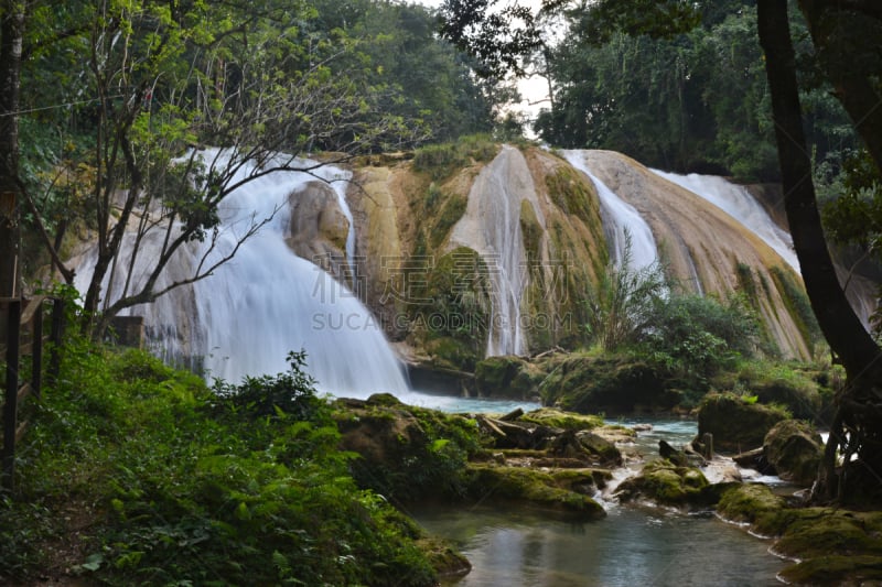 agua azul cascades,半岛,尤卡坦州,墨西哥,自然,水,水平画幅,地形,瀑布,无人