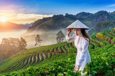 传统,越南,衣服,草莓,菜园,黎明,女人,农业,可爱的,清新