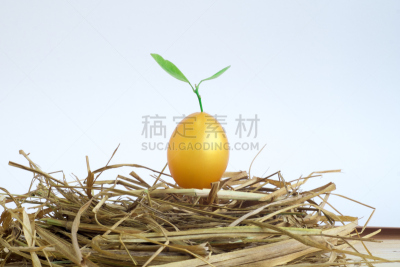 动物的巢,复活节彩蛋,黄金,事件,复活节,背景分离,小的,鸡蛋,想法,joseph ii