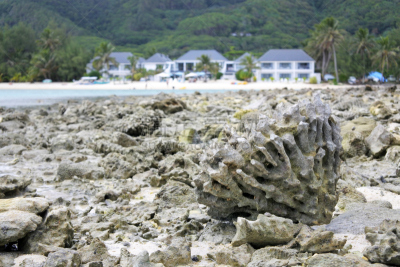 库克群岛,拉罗汤加岛,穆里湖,珊瑚,水,天空,度假胜地,水平画幅,形状,无人