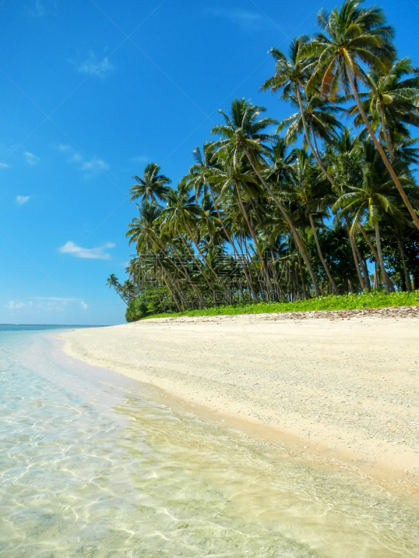 taveuni,沙子,斐济,海滩,乡村,自然界的状态,热带气候,椰子,海岸线,索摩索摩海峡