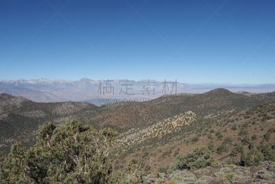 加利福尼亚,美国,狐尾松,森林,国内著名景点,云,公园,美国西部,著名景点,自然美