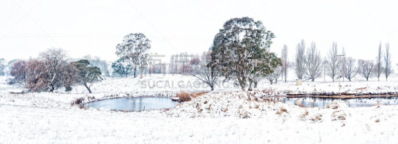 雪,池塘,地形,小的,寒冷,白杨,农场,澳大利亚,户外,灌木丛