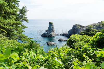 韩国,济州岛,绿色,海洋,西归浦,岩层,水,美,水平画幅,山