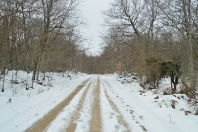 雪,瀑布,河流,自然,地形,纳纹河,路,轮胎印,式样,跳