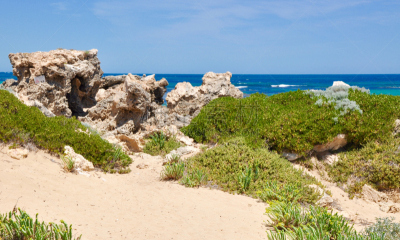 石灰石,沙丘,cape peron,岩石,植物群,水,天空,西澳大利亚,水平画幅,沙子