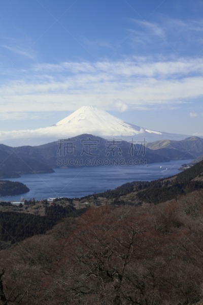 箱根园,芦之湖,山,富士山,箱根湿地植物园,富士箱根伊豆国立公园,观光船,垂直画幅,天空,雪