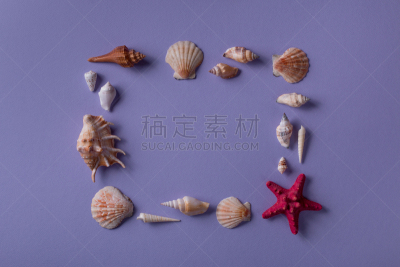 边框,贝壳,红色,星形,淡水中心硅藻,海蛤,海星,纪念品,留白,度假胜地