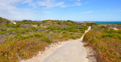 cape peron,海岸地形,沙丘,小路,西澳大利亚,水,天空,水平画幅,沙子,透视图