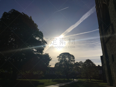 早晨,五月,2018,绿色,天空,小无花果树,水平画幅,云,地形