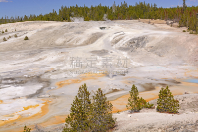 thermal park,风景,自然,黄石公园,松树,美国西部,水平画幅,贫瘠的,地质学,无人