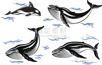 卡通,海洋,鲸,驼峰,座头鲸,动物背脊,尾鳍,可爱的,自由,野生动物