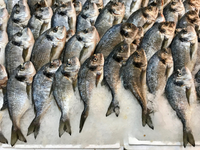 冰,鱼类,市场,伊斯坦布尔,接缝,生食,海鲷,清新,食品,死的