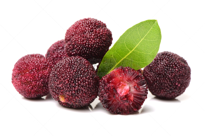 红色,杨梅,水平画幅,水果,夏天,熟的,清新,叶子,美味,madrona tree