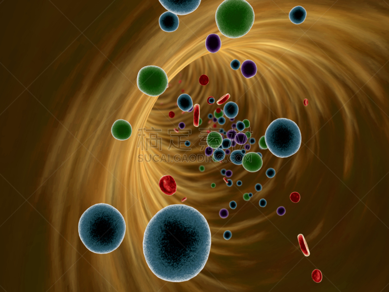 白细胞,氨基酸,线粒体,血流,毛细血管,大规模的放大,血小板,红细胞,人体静脉,人体动脉