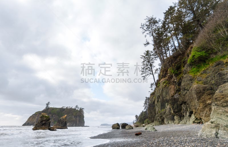 太平洋海岸,鲁比海滩,国际生物圈保护区,奥林匹克山脉,奥林匹克山,水平画幅,沙子,无人,户外,世界遗产