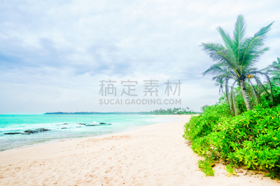 斯里兰卡,坦加勒,海滩,下一个,鸡尾酒,气候,旅途,安静,自然界的状态,热带气候