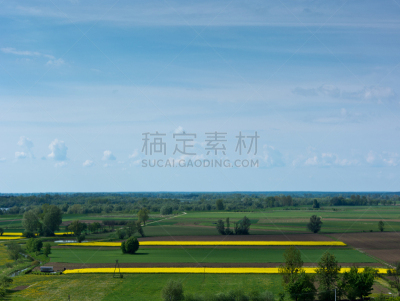 河流,山谷,卡齐米日多尔尼,维斯瓦河,油菜花,水平画幅,无人,夏天,户外,农作物
