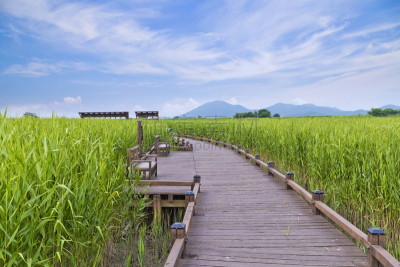 韩国,海湾,顺天市,环境,观光船,步行道路,船,小路,朝鲜半岛,河流
