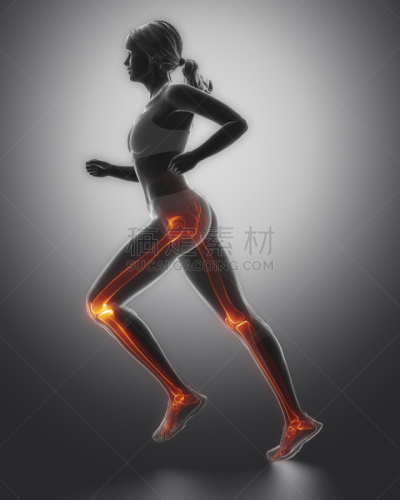 女人,慢跑,腿,垂直画幅,身体受伤,前十字韧带,膝,人类骨架,韧带