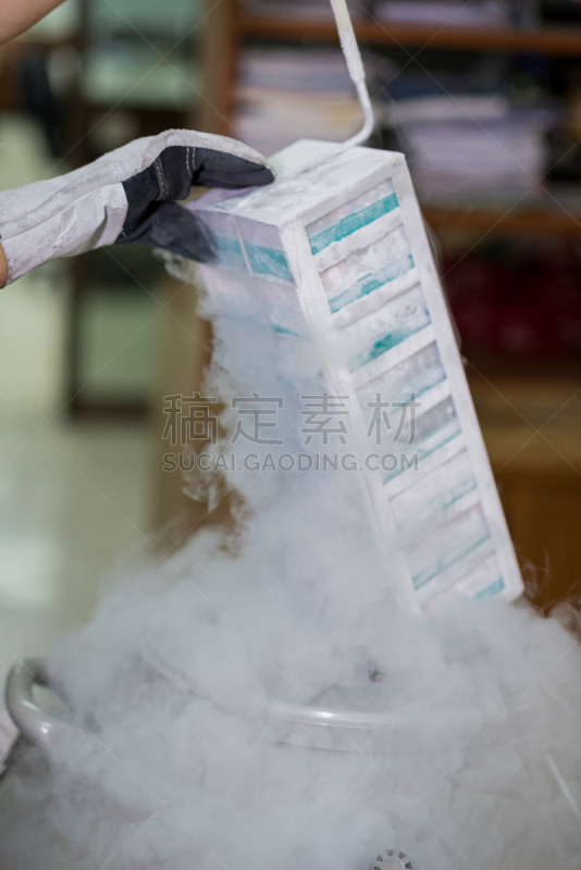 医学样本,技术员,冰柜,垂直画幅,生物科技,科学实验,科学,生物学,生物化学