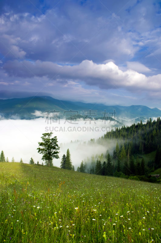 山,卡帕锡安山脉,乌克兰,黄昏,地形,高原,特伦钦,垂直画幅,无人,夏天